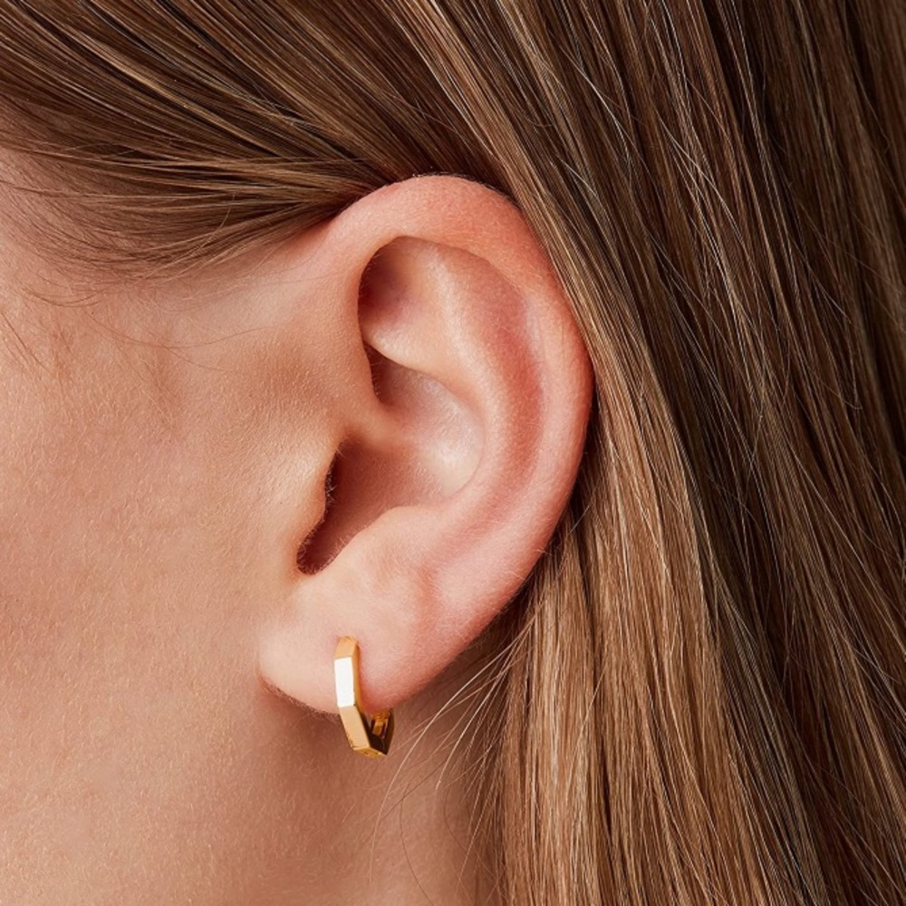 Gold Stainless Steel Geometric Huggie Hoop Earrings